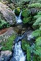 2007 04 08 Abel Tasman 038-1_DXO